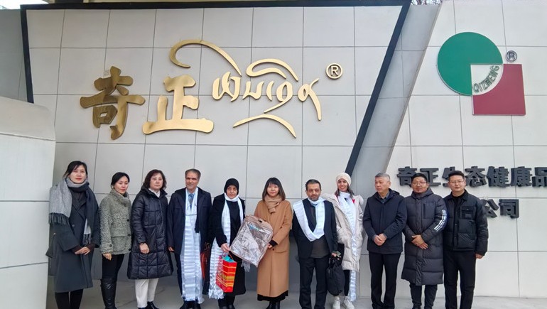 深掘藏醫瑰寶，共繪健康新篇——伊朗代表團蒞臨奇正集團參訪(fǎng)交流